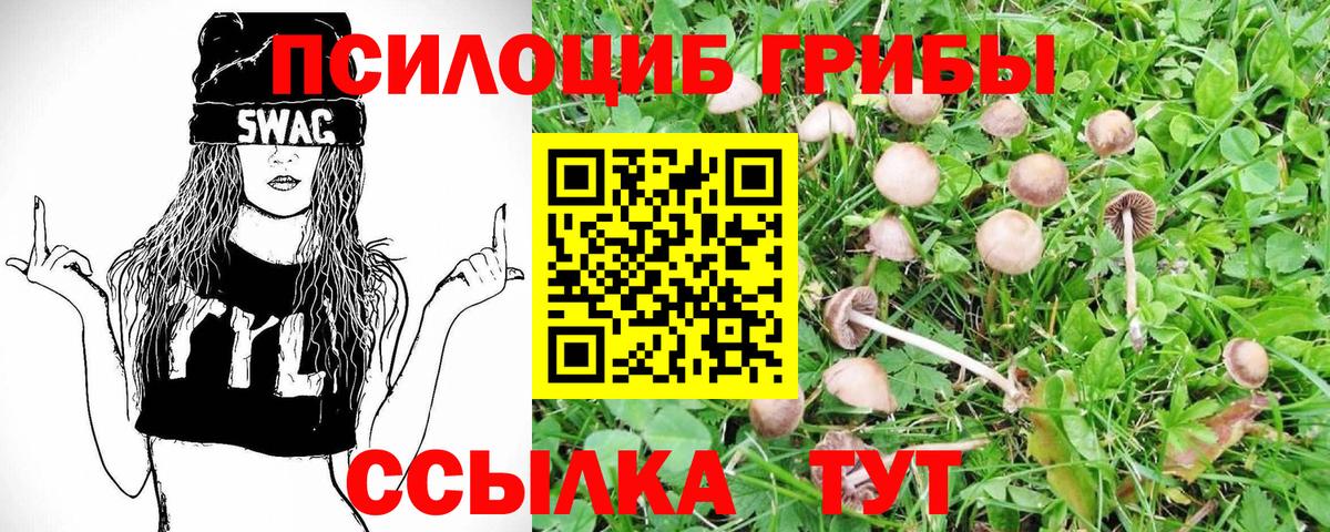 цена наркотик  Псилоцибиновые грибы MAGIC MUSHROOMS  Вход с VPN  Соль-Илецк  Псилоцибиновые грибы мухоморы 